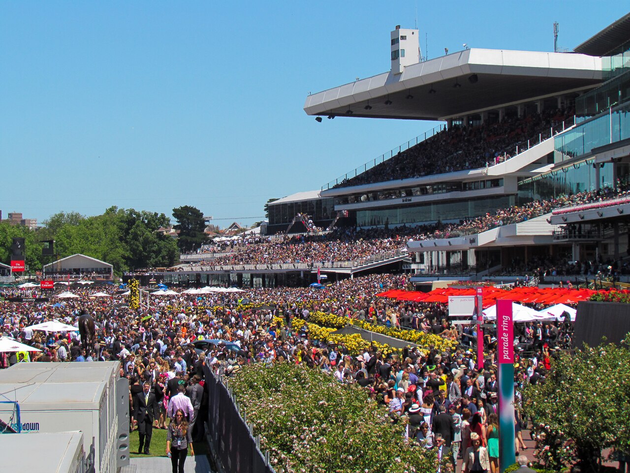 Private jet to Melbourne Cup